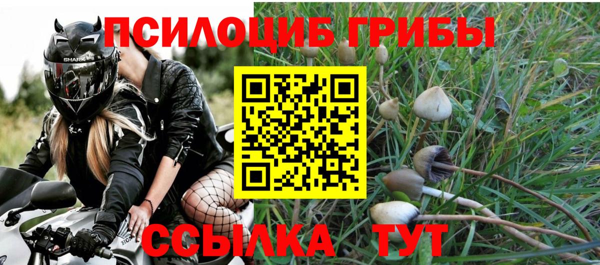 Псилоцибиновые грибы Magic Shrooms  Галлюциногенные грибы Magic Shrooms  Большой Камень  Вход с VPN 